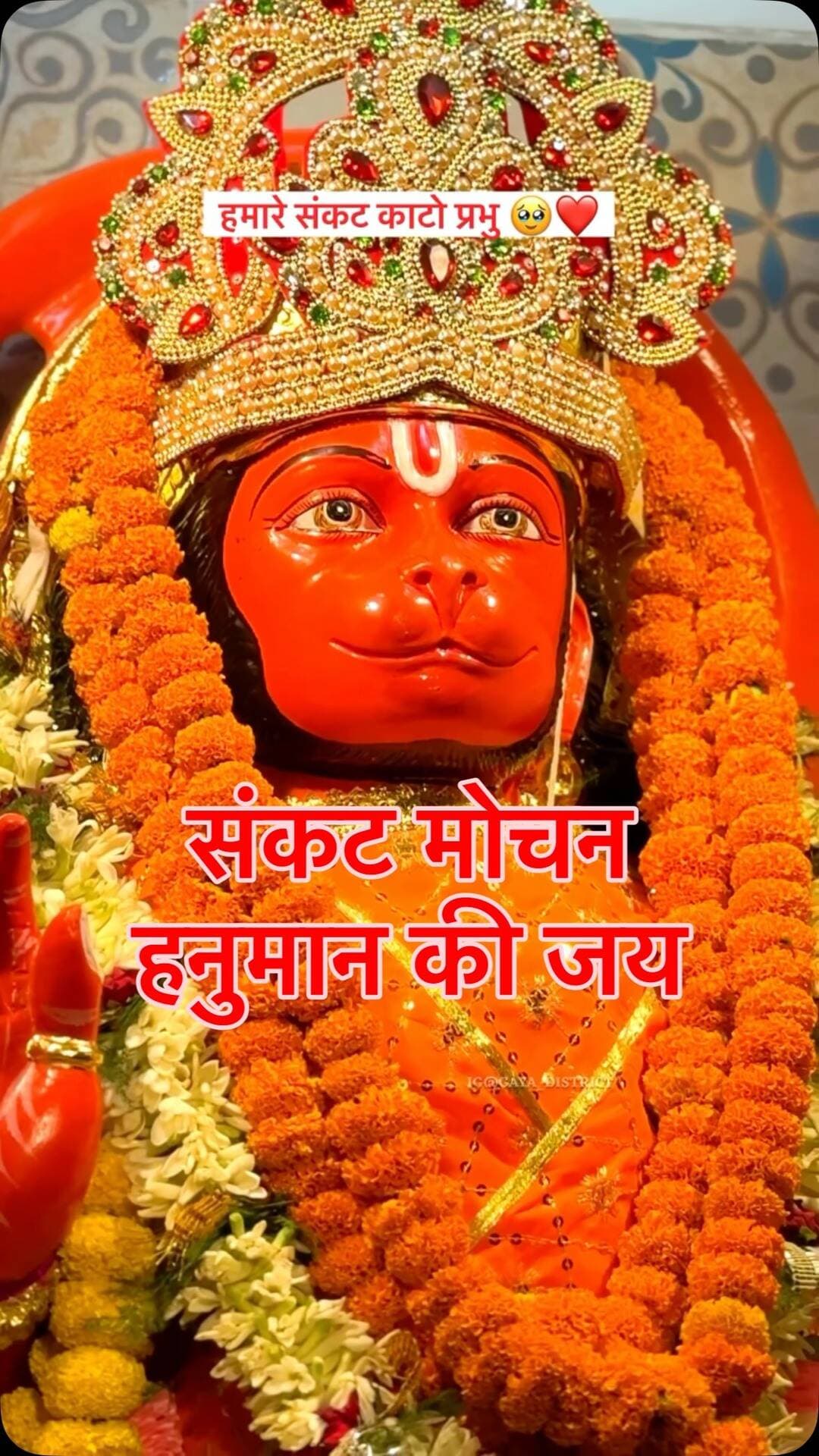 जय बजरंग बली।
#gaya#hanumanansh #sankatmochanmahabalihanuman🕉️🙏 #jaihanuman#jaibajrangbali🚩🚩🚩🚩🚩🚩🚩🚩🚩🚩