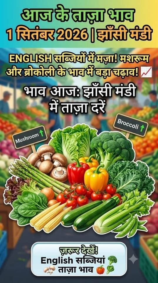 झांसी मंडी: Mushroom और Broccoli के दामों में भारी उछाल! 📈 | English Sabji Mandi Bhav 1 Sep 2026 #mashroom #englishvegetables #mandibhav #viralreels #jharkhandprotest