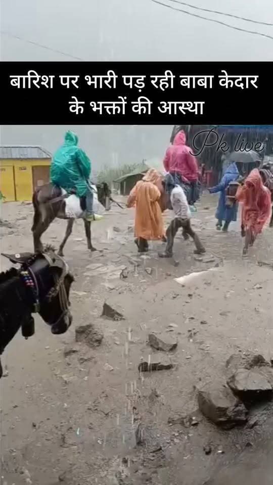पहाड़ों में मौसम भले ही लगातार करवट बदल रहा हो, लेकिन बाबा केदार के भक्तों की आस्था पर बारिश भी भारी नहीं पड़ रही है। मानसून की बारिश, धुंध और पहाड़ी रास्तों की चुनौतियों के बीच भी केदारनाथ धाम की यात्रा निरंतर जारी है। देश के विभिन्न हिस्सों से श्रद्धालु तमाम दुश्वारियों को पीछे छोड़कर बाबा केदार के दरबार में पहुंच रहे हैं। धाम में उमड़ रही श्रद्धालुओं की भीड़ और मंदिर परिसर में गूंज रहे बाबा के जयकारे यात्रा के प्रति भक्तों की अटूट आस्था को बयां कर रहे हैं।
यात्रा सीजन में अब तक 14 लाख 73 हजार से अधिक श्रद्धालु बाबा केदार के दर्शन कर चुके हैं। बारिश के बावजूद केदारनाथ यात्रा मार्ग से लेकर धाम तक श्रद्धालुओं की आवाजाही बनी हुई है। मंदिर परिसर में सुबह से ही दर्शन के लिए भक्तों की कतारें लग रही हैं। मौसम की चुनौती भी श्रद्धालुओं के उत्साह को कम नहीं कर पा रही है।