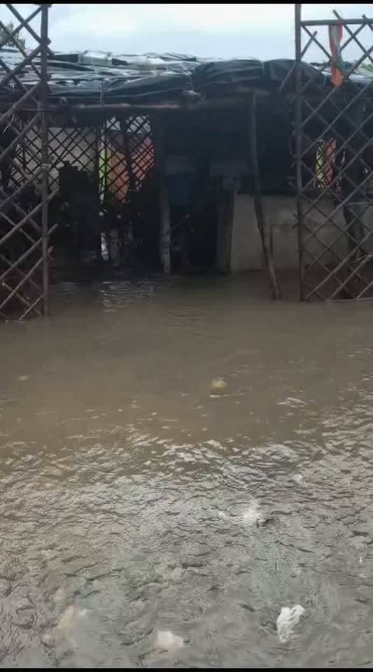 Satna. मझगवां जनपद की पालदेव ग्राम पंचायत में बनी बाढ़ की स्थिति सड़कों और घरों में भरा लबालब पानी कई घर पानी की चपेट में।