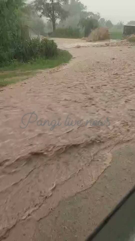 महिला ने चुन्नी के सहारे बचाई बाइक सवार की जान, इंसानियत की मिसाल बनी घटना
भटियात। उपमंडल भटियात के ककीरा-कमलाड़ी क्षेत्र की बताई जा रही है, मुश्किल समय में किसी जरूरतमंद की मदद के लिए आगे आना ही सच्ची इंसानियत है। महिला के इस साहस और संवेदनशीलता को लोग सलाम कर रहे हैं। 🙏