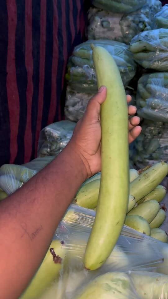 लोकी हरी मिर्च खीरा 🥒 का भाव झाँसी मंडी #jhansi #lokibhav #vegetablesbhav #trendingreels #viralreels