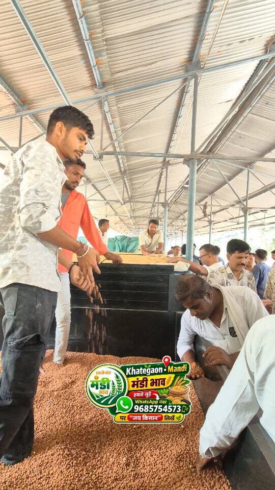 01 सितंबर 2026 | मंडी भाव | कृषि उपज मंडी खातेगांव, जिला-देवास (म.प्र.) Khategaon Mandi • मंडी भाव