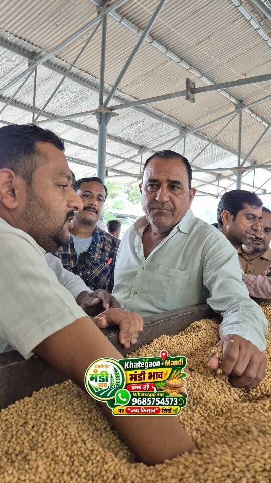 01 सितंबर 2026 | मंडी भाव | कृषि उपज मंडी खातेगांव, जिला-देवास (म.प्र.) Khategaon Mandi • मंडी भाव