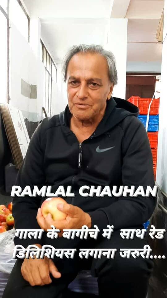 🍎 गाला का बागीचा लगाते समय रेड डिलिशियस क्यों जरूरी?
सेब बागवानी के द्रोणाचार्य श्री रामलाल चौहान जी के अनुसार, गाला सेब का नया बागीचा लगाते समय क्रॉस-पॉलीनेशन के लिए रेड डिलिशियस जैसी उपयुक्त किस्म को शामिल करना बेहद जरूरी है।
हिमाचल और कश्मीर में आजकल बड़ी संख्या में बागवान केवल गाला की ही प्लांटेशन कर रहे हैं। लेकिन सिर्फ गाला पर निर्भर रहना और रेड डिलिशियस को ना लगानाहअच्छी फल-सेटिंग और गुणवत्तापूर्ण उत्पादन के लिए जोखिम भरा हो सकता है।
गाला के बागीचे में लगभग 30% रेड डिलिशियस लगाना अति आवश्यक है ताकि गाला बागीचे में पर्याप्त क्रॉस-पॉलीनेशन हो सके। देखा गया है जहां गाला के साथ रेड डिलिशियस नहीं लगाए गए हैं, वहां फ्रूट सेट, फल की गुणवत्ता और उत्पादन प्रभावित हो रही है ।
नई प्लांटेशन का मतलब सिर्फ नई वैरायटी लगाना नहीं, बल्कि सही पोलिनेशन प्लान के साथ बागीचा तैयार करना है। गाला लगाएं, लेकिन रेड डिलिशियस पोलिनेशन को नजरअंदाज न करें।
RMS Bakhol — बेहतर बागीचे की शुरुआत सही प्लानिंग से।