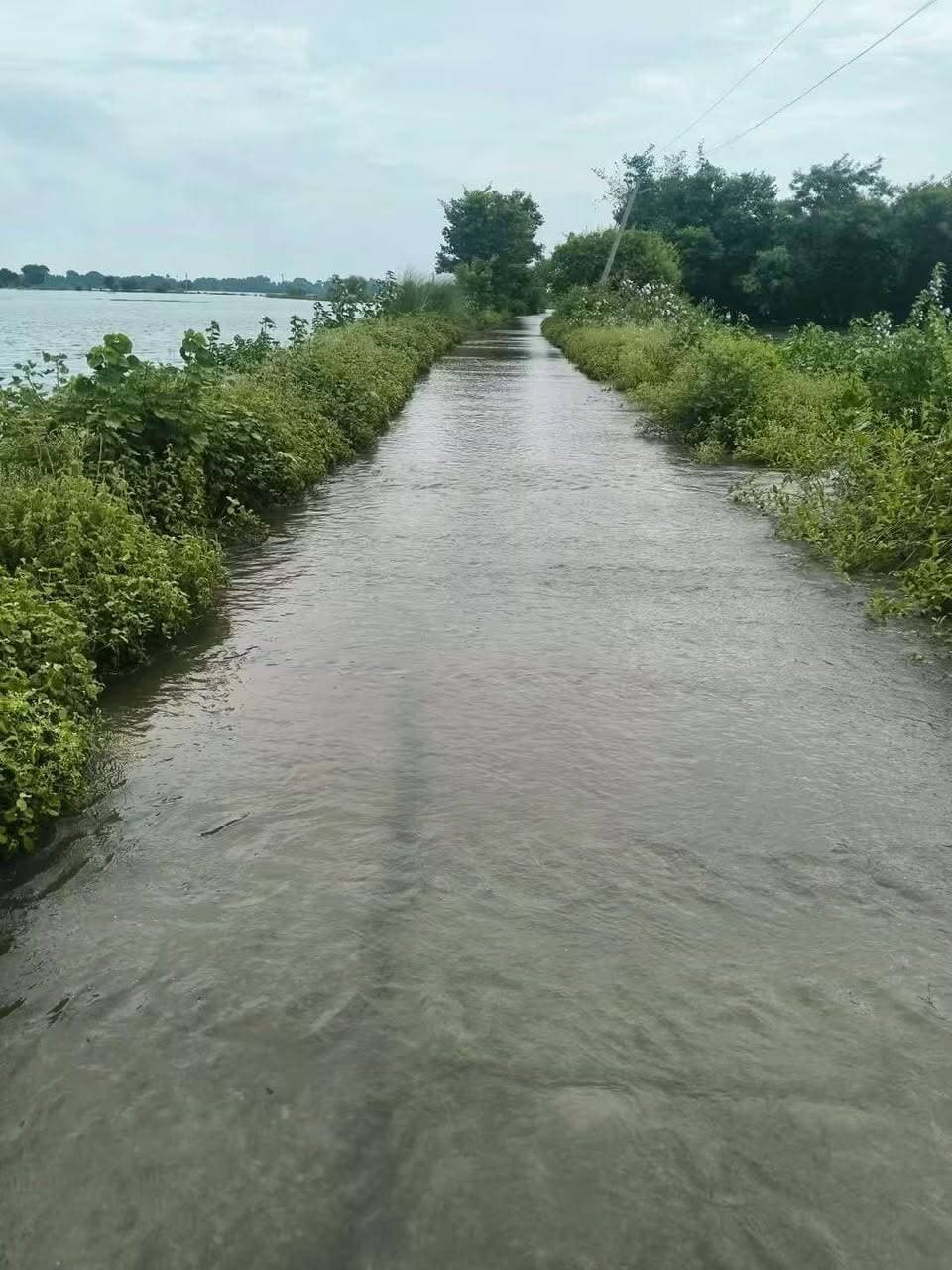 मदार नदी उफान पर, पौथू पंचायत के कई गांव जलमग्न; आवागमन प्रभावित, धान की फसल को भारी नुकसान
पौथू। लगातार बारिश के बाद मदार नदी का जलस्तर तेजी से बढ़ने से पौथू पंचायत के कई गांव बाढ़ की चपेट में आ गए हैं। बरपा, सीमा, बेल्हड़िया, बांस बिगहा, मिश्रबिगहा, अनच्छा और पौथू समेत कई गांवों के खेतों में नदी का पानी प्रवेश कर गया है। इससे ग्रामीणों की चिंता बढ़ गई है और सामान्य जनजीवन प्रभावित होने लगा है।
सबसे गंभीर स्थिति बरपा गांव की बनी हुई है, जहां मदार नदी का पानी गांव के अंदर तक पहुंच गया है। पानी का बहाव बढ़ने के कारण ग्रामीणों के लिए गांव से बाहर निकलना भी मुश्किल हो गया है।
वहीं, पौथू-बरपा मुख्य मार्ग पर भी बारिश और नदी का पानी सड़क के ऊपर से बह रहा है। सड़क पर पानी का तेज बहाव होने के कारण पैदल राहगीरों को आवागमन में भारी परेशानी का सामना करना पड़ रहा है। दोपहिया वाहनों के लिए भी यह मार्ग जोखिम भरा हो गया है।
स्थानीय ग्रामीणों के अनुसार, बाढ़ के पानी से खेतों में लगी धान की फसल को काफी नुकसान पहुंचा है। यदि जलस्तर में जल्द कमी नहीं आई तो फसल को और अधिक नुकसान होने की आशंका है, जिससे किसानों की परेशानी बढ़ सकती है।
ग्रामीणों ने प्रशासन से क्षेत्र की स्थिति का तत्काल जायजा लेने, जल निकासी की व्यवस्था कराने तथा प्रभावित गांवों और मुख्य मार्ग पर आवश्यक सुरक्षा एवं राहत व्यवस्था सुनिश्चित करने की मांग की है।
नीचे दिए गए वीडियो में साफ देखा जा सकता है कि किस तरह बाढ़ का पानी सड़क के ऊपर से बह रहा है और राहगीरों को पानी के बीच से होकर गुजरना पड़ रहा है।