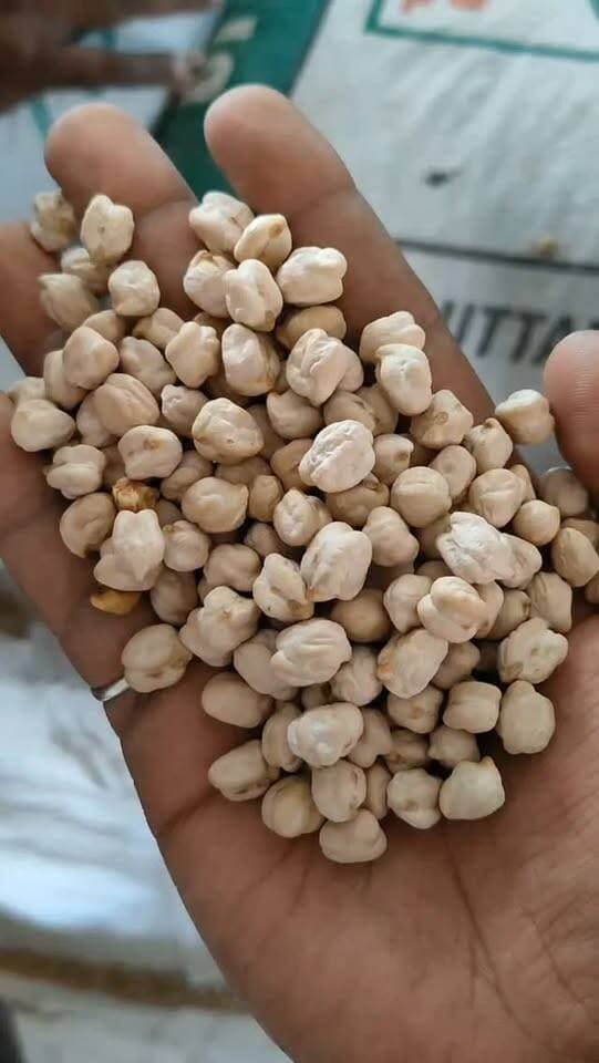 आज धामनोद मंडी में डॉलर चना का भाव इस प्रकार रहा, भाव में कमी देखने मिली
आज अच्छे माल की आवक कम, आज डॉलर चना 6800 से 8185 तक बिका...
01 सितंबर 2026
Dhamnod Mandi Bhav
.
.
.
.
.
.
.
.
.
.
.
.
.
.
.
.
.
#dhamnodmandibhav #dollarchanamandibhav #dollarchanakabhav #mandinews #mandirates