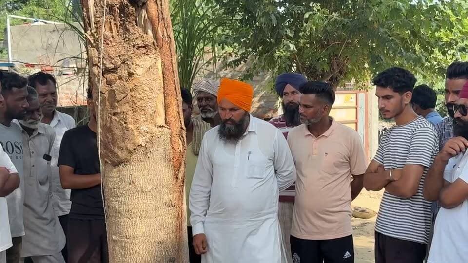 ਨਸ਼ੇ ਦੇ ਖੌਫ ’ਚ ਛਾਜਲੀ! ਲੋਕਾਂ ਨੇ ਦੱਸੀ ਚੋਰੀਆਂ ਦੀ ਵਜ੍ਹਾ, ਸਰਪੰਚ ਨੇ ਚੁੱਕਿਆ ਕਦਮ
ਛਾਜਲੀ ’ਚ ਚੋਰੀਆਂ ਦਾ ਮੁੱਦਾ ਗਰਮਾਇਆ—ਸਰਪੰਚ ਬੋਲੇ, ਗੁਪਤ ਸੂਚਨਾ ਦਿਓ