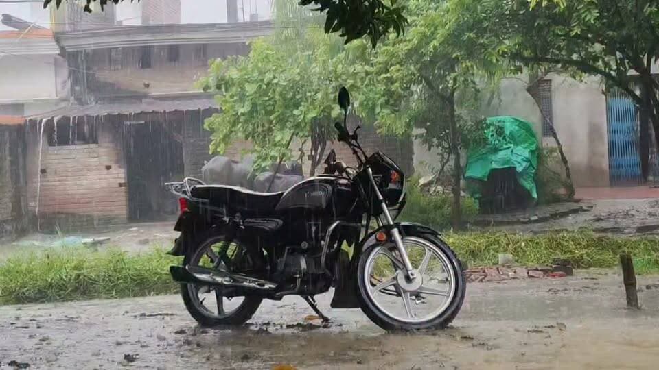 #यमुनानगर क्षेत्र में लगातार हो रही #मूसलाधार बारिश से #किसान परेशान,#फसले_जलमग्न...किसान चिंतित..?
#prayagrajnews #CMYogiAdityanath