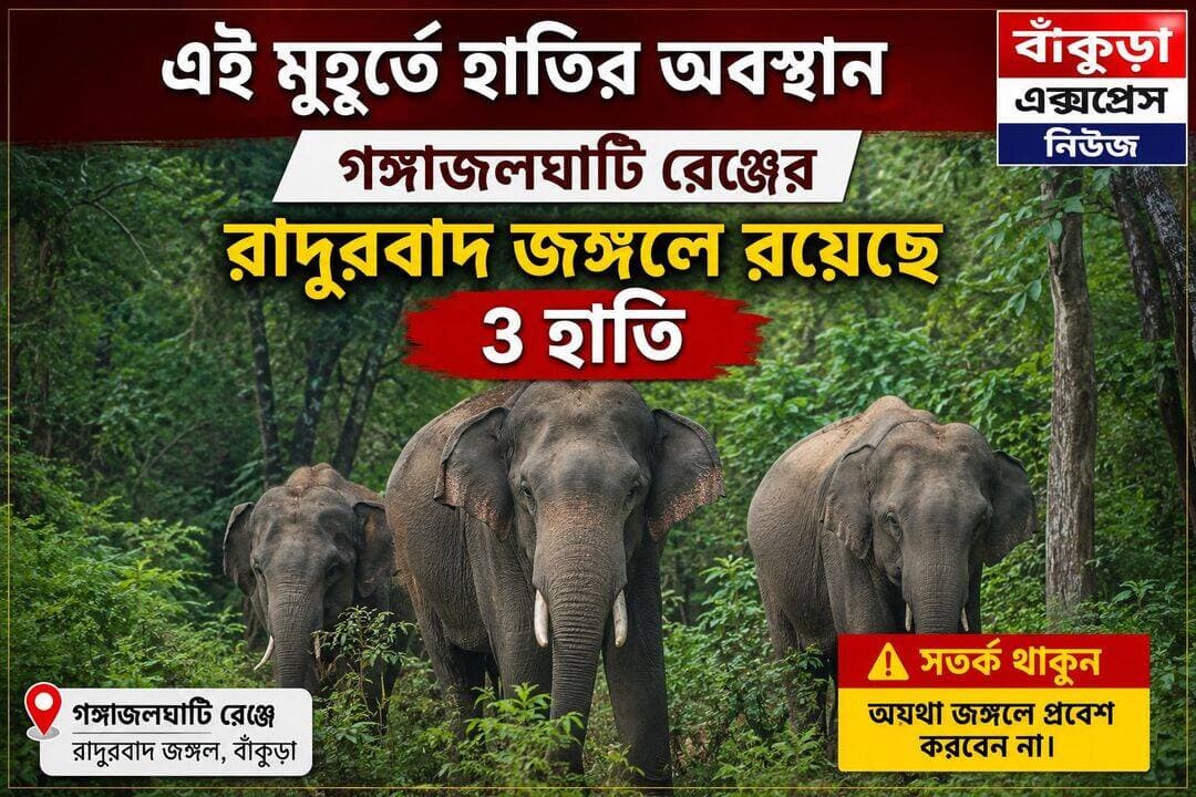হাতির অবস্থান,গঙ্গাজলঘাটি রেঞ্জে।
