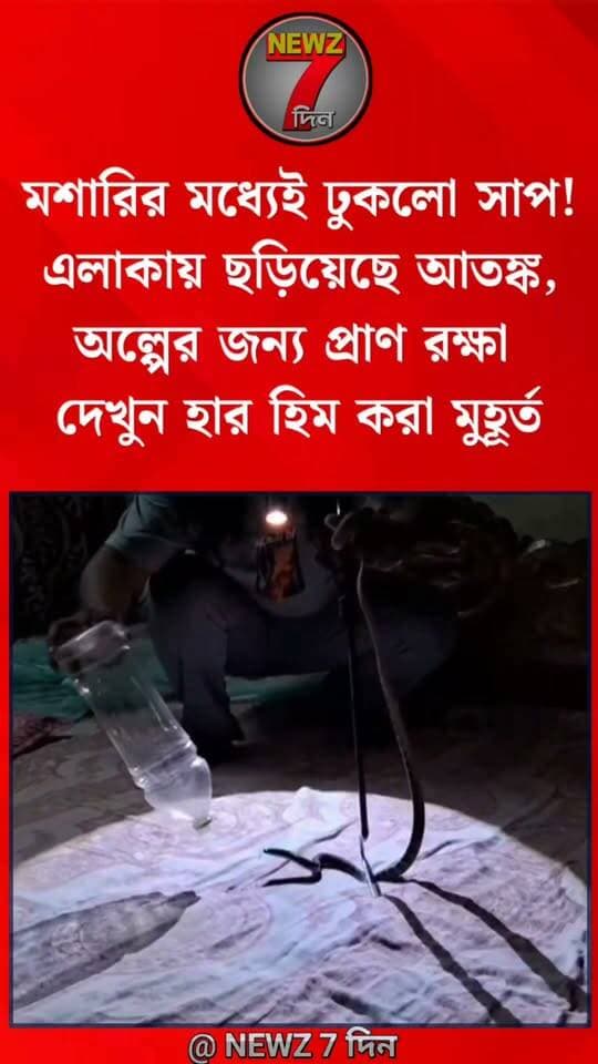 মশারির মধ্যেই ঢুকলো সাপ! বর্ষায় জেলার এই এলাকায় ছড়িয়েছে আ*তঙ্ক, অল্পের জন্য প্রাণ রক্ষা