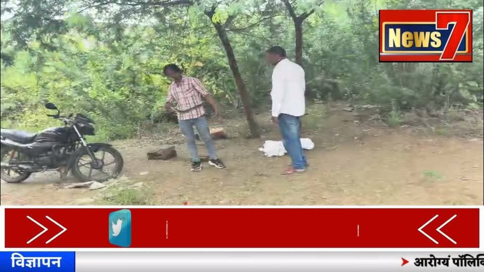 #news हिण्डौन में मकान में घुसा 8 फीट लंबा धामन सांप, रेस्क्यू टीम ने किया सुरक्षित रेस्क्यू #snakerescue #hindauncity #News7
