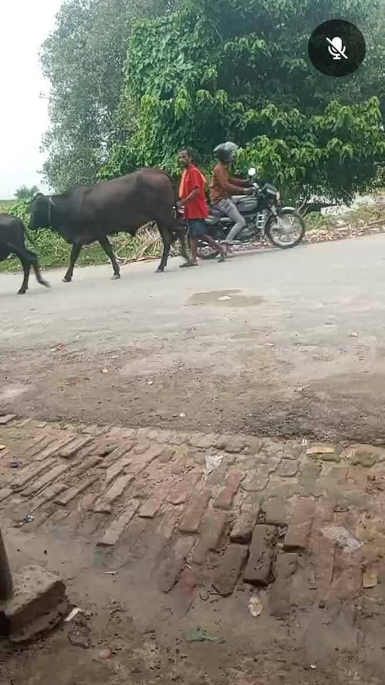 गोरखपुर और महराजगंज के बार्डर का नजारा, इस रोहिन नदी के मछली गाँव बड़हरालाला घाट का आधा आधा हिस्सा दोनों जनपदों का क्षेत्र है, यह पुल दोनों जनपदों को जोड़ता है-
Public maharajganj #everyone #followers #EveningViews #liveshow