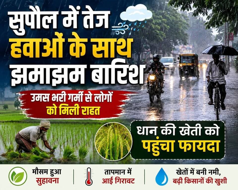 सुपौल में तेज हवाओं के साथ झमाझम बारिश, उमस भरी गर्मी से लोगों को मिली राहत; धान की खेती को फायदा