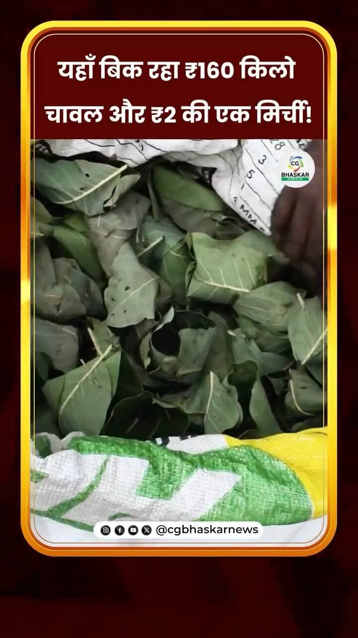 यहाँ बिक रहा ₹160 किलो चावल और ₹2 की एक मिर्ची!
कमरछठ का त्योहार आते ही बाजार में पूजा के सामान की खरीदारी बढ़ गई है। पसहर चावल से लेकर मिर्ची तक के भाव लोगों का ध्यान खींच रहे हैं। बाजार में चावल ₹160 किलो और मिर्ची ₹2 नग तक बिक रही है। क्या आपने भी कमरछठ के लिए ये सामान खरीदा है?
Disclaimer: For news reporting, public awareness, and educational purposes only. May contain sensitive content. Viewer discretion is advised. Third-party content belongs to its respective owners and is used under applicable fair use/fair dealing principles.
#Cgbhaskar #CgFestival #LocalFestival #Kamarchhat