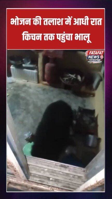 छत्तीसगढ़ के कांकेर शहर के अलबेलापारा वार्ड में उस वक्त हड़कंप मच गया, जब आधी रात भोजन की तलाश में एक भालू सीधे एक घर के किचन में जा घुसा। रिहायशी इलाके में भालू की इस आमद से पूरे मोहल्ले में दहशत का माहौल है। स्थानीय लोगों का कहना है कि क्षेत्र में आए दिन भालुओं की आवाजाही बढ़ गई है, जिससे वे अपनी और अपने परिवार की सुरक्षा को लेकर खासे चिंतित हैं।
कांकेर वन परिक्षेत्र के अंतर्गत आने वाले इस इलाके की घटना की जानकारी मिलते ही वन विभाग ने स्थिति पर नजर बनाई हुई है। वन विभाग ने नागरिकों से सतर्कता बरतने की अपील की है और हिदायत दी है कि भालू दिखने पर उसके करीब बिल्कुल न जाएं और तुरंत विभाग को सूचित करें।
#Kanker #ChhattisgarhNews #KankerForest #WildlifeEncounter #BearAttackAlert #ChhattisgarhUpdates #BreakingNews #LocalNews #FatafatNews
