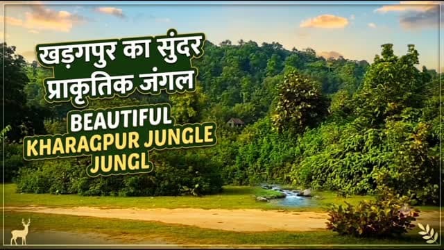 🌿 यह खड़गपुर जंगल का सुंदर प्राकृतिक दृश्य है। 🌳 #खड़कपुर #जंगलसीन #प्राकृतिक #दृश्य #shortreelvideo🙏❤️ Yogendra Prajapati