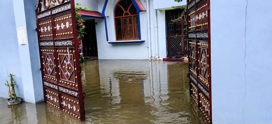 गिरिडीह नगर निगम का विकास देखिए!
पटेल नगर, सिरसिया, सिहोडीह, झिंझरी, बड़ा चौक, पंचबा, बरमसिया, शीतलपुर, मोहलीचुंआ और महथाडीह में हालात ऐसे हैं कि सड़क पर पानी नहीं, पानी में सड़क खोजनी पड़ रही है। पानी अब नालियों में नहीं, सीधे घरों में एंट्री मार रहा है।
#apnagiridihnews #GiridihNews #नगरनिगम