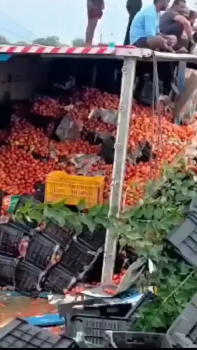 मवेशी को बचाया, ट्रक पलटा… सड़क पर बिखरे टमाटर, समेटने उमड़ी भीड़
सतना। मैहर जिले के अमरपाटन थाना क्षेत्र में मंगलवार दोपहर एनएच-30 पर परसवाही-नर्सरी के पास मवेशी को बचाने के चक्कर में टमाटर से लोड तेज रफ्तार ट्रक अनियंत्रित होकर पलट गया। हादसे में चालक अरबाज अहमद केबिन में फंस गया, जिसे स्थानीय लोगों ने बाहर निकालकर अस्पताल पहुंचाया। ट्रक महाराष्ट्र के नासिक से टमाटर लेकर यूपी के गोरखपुर जा रहा था। हादसे के बाद सड़क पर टमाटर बिखर गए तो आसपास के लोग उन्हें समेटने में जुट गए। कुछ देर तक हाईवे पर यातायात भी प्रभावित रहा।#Satna #Amarpatan #NH30 #RoadAccident #TomatoTruck AccidentNews