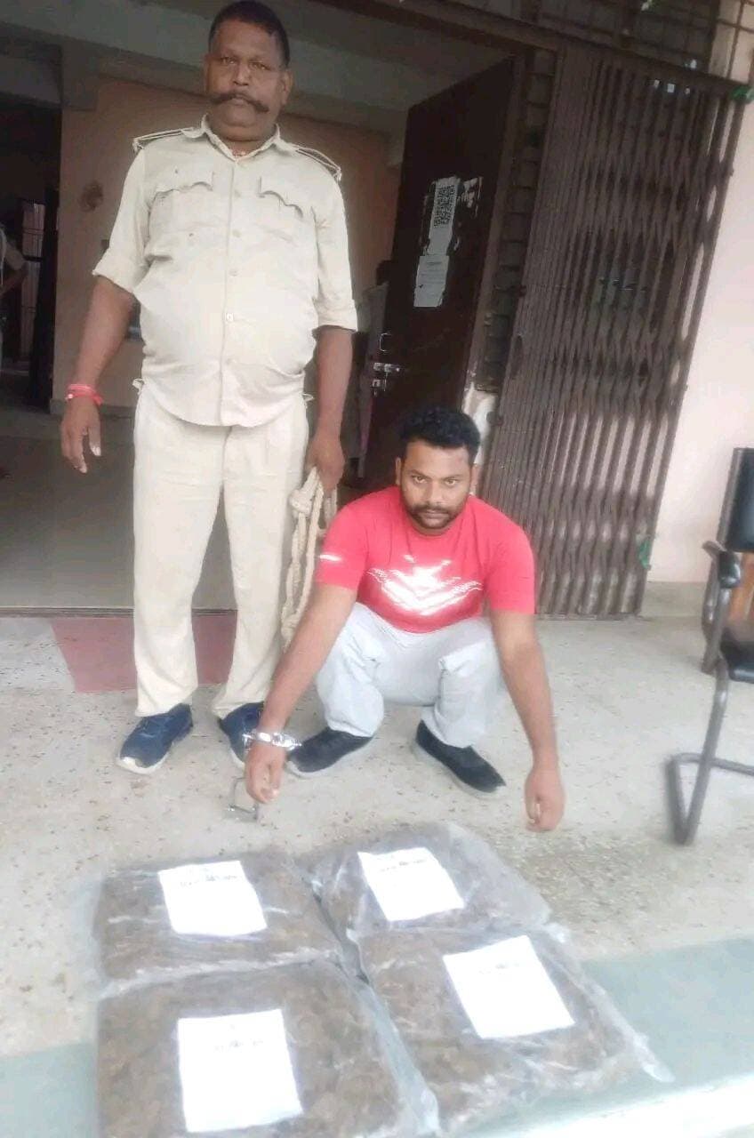 बड़हिया में गांजा की खेप ले जा रहे तस्कर गिरफ्तार