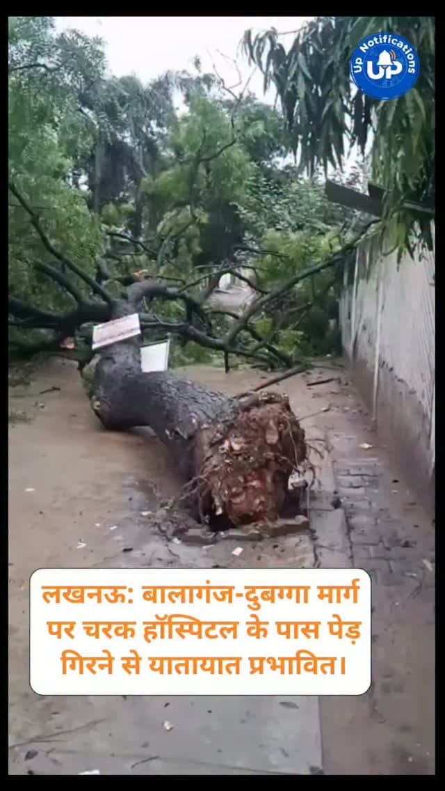 🚨 लखनऊ ट्रैफिक अलर्ट!
बालागंज से दुबग्गा जाने वाले मार्ग पर चरक हॉस्पिटल (राजा बिहार लिंक रोड) के पास नीम का पेड़ सड़क पर गिर गया है, जिससे यातायात प्रभावित हुआ है। TI चौक और संबंधित टीमें मौके पर मौजूद हैं और रास्ता साफ किया जा रहा है। असुविधा से बचने के लिए कृपया इस रूट पर जाने से बचें।
#LucknowTraffic
#TrafficUpdate
#LucknowNews
#TrafficAlert
#UPPolice
DISCLAIMER
This video is intended for news and informational purposes only. It does not promote, support, or encourage any form of violence, hatred, or illegal activity. The content is presented solely to inform the public. Viewer discretion is advised.