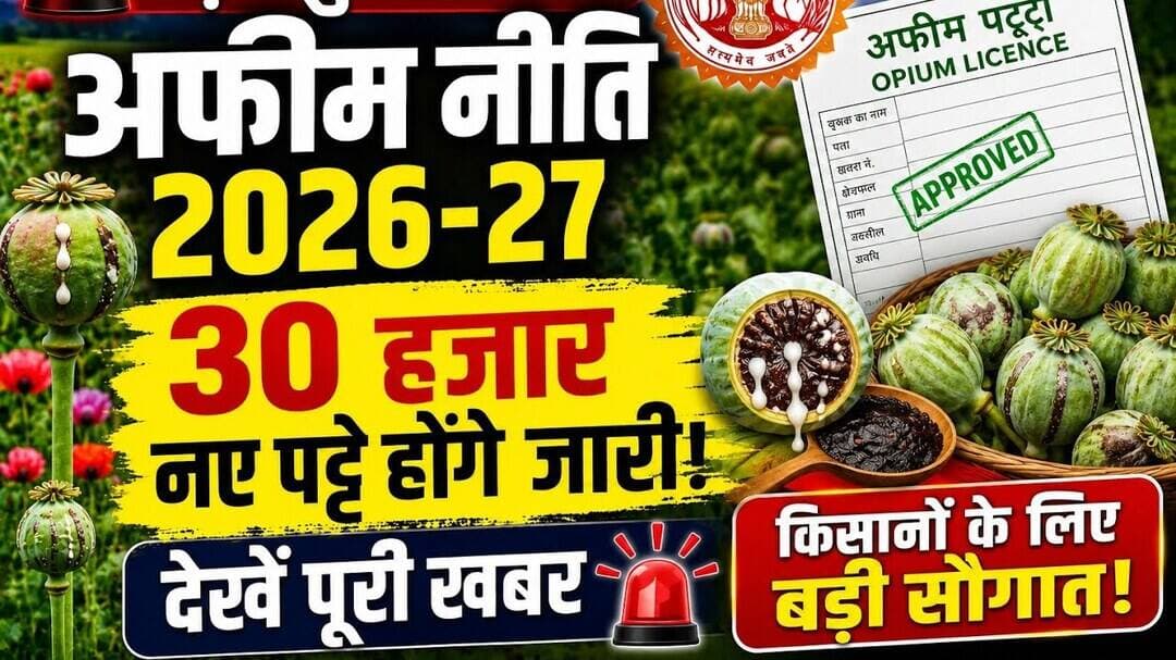 अफ़ीम नीति 2026-27 | बड़ी अपडेट | काउंटडाउन | सीपीएस | लुआई - चिराई #afimniti #kisaan #cps #afemkisan