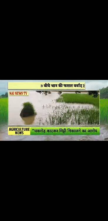 चकरोड़ काटने से फसल खराब