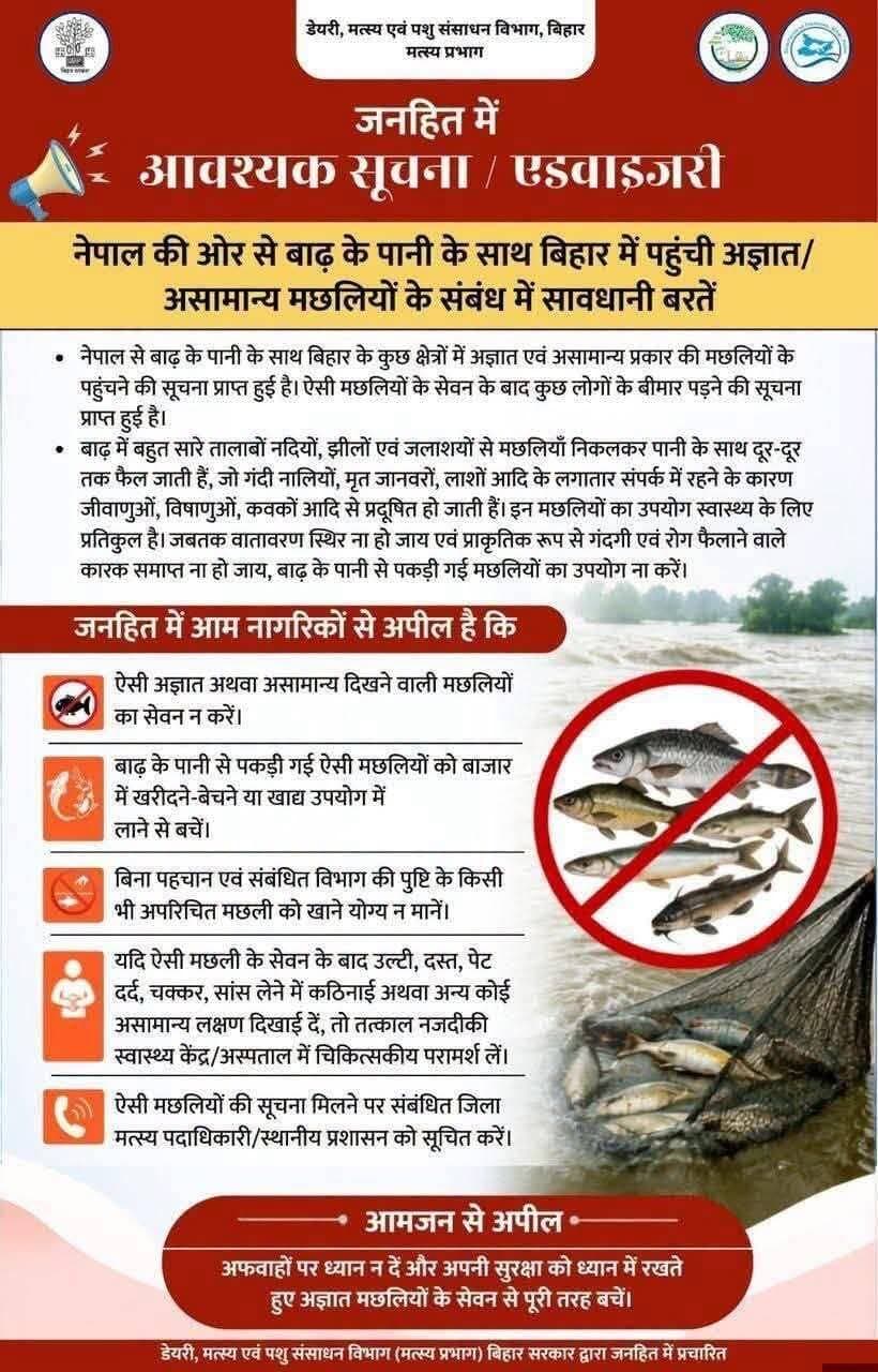 बाढ़ में आई मछली - बीमारी भी साथ ला रही है। सावधान रहें। और इस सूचना को जनहित में शेयर करें।