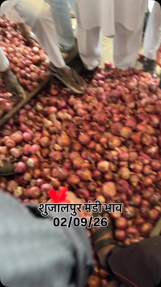 शुजालपुर मंडी भाव
02/09/26