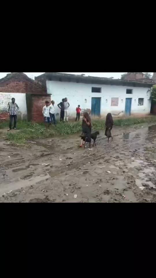 विकास के दावों की खुली पोल!! विडियो वायरल!!
डकोर ब्लॉक की ग्राम पंचायत करमेर में कीचड़ से तब्दील हुए रास्ते, ग्रामीण परेशान!!
बताया जा रहा है कि कीचड़ भरे रास्तों के चलते बीमार लोगों तक एम्बुलेंस भी नहीं पहुंच पा रही है। इसी बीच एक वीडियो सोशल मीडिया पर वायरल हो रहा है, जिसमें बीमार महिला को ग्रामीण चारपाई पर लेटाकर कीचड़ भरे रास्ते से ले जाते हुए नजर आ रहे हैं। ग्रामीणों का आरोप है कि रास्तों पर जलभराव और कीचड़ की समस्या लंबे समय से बनी हुई है, लेकिन जिम्मेदारों की ओर से स्थायी जल निकासी और सड़क व्यवस्था को लेकर प्रभावी कदम नहीं उठाए गए।