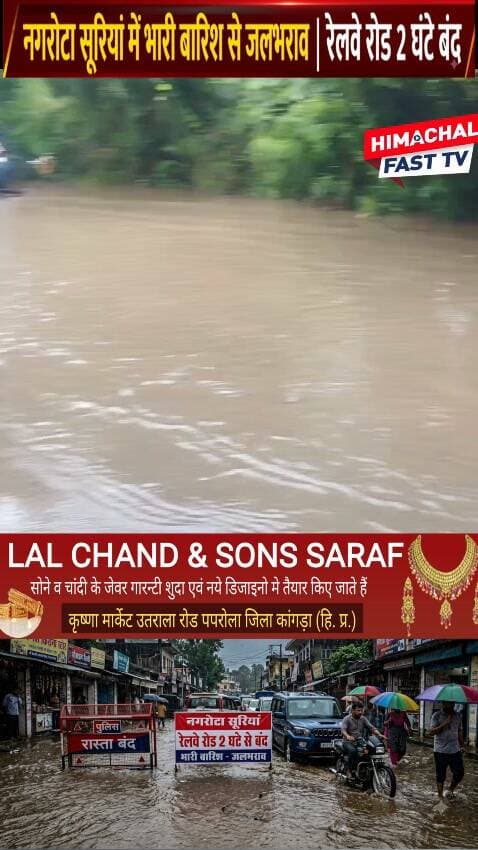 "नगरोटा सूरियां में भारी बारिश से जलभराव, रेलवे रोड 2 घंटे बंद"
"बारिश बनी आफत! नगरोटा सूरियां में सड़कें जलमग्न, रेलवे रोड ठप"
नगरोटा सूरियां,रिपोर्ट नवीन शर्मा
#नगरोटासूरियां #भारीबारिश #जलभराव #रेलवेRoad #बारिश #हिमाचलप्रदेश #Kangra #KangraNews #HimachalNews #RainAlert #Monsoon #BreakingNews #HimachalFast #LatestNews