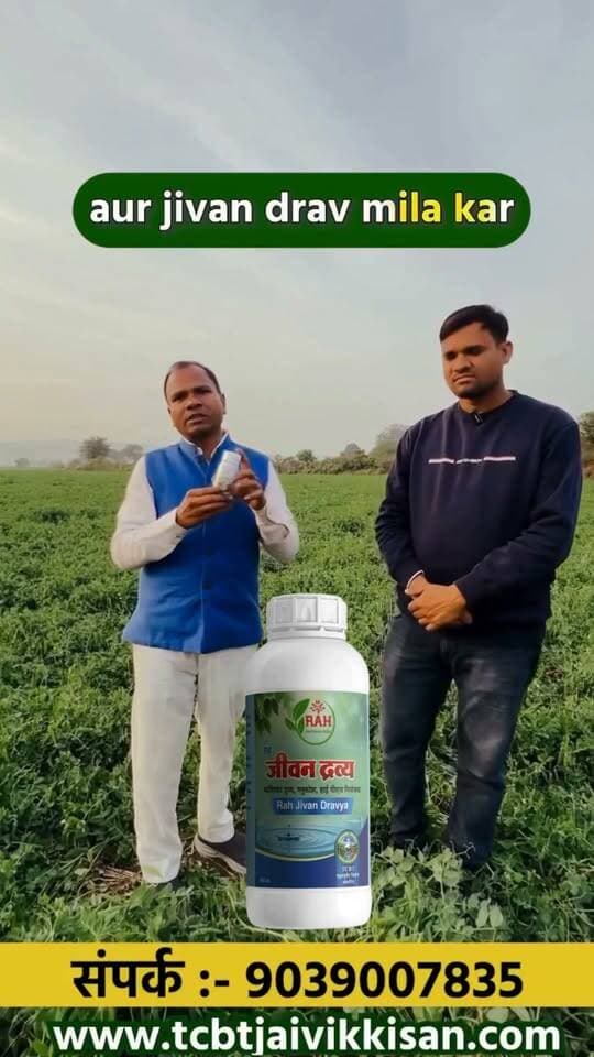 🌶️🍃 मिर्च और पपीते की फसल में फंगल समस्या से समाधान की ओर! 🍃🌿
क्या आपकी फसल में भी फंगल रोग, पत्तियों पर दाग या पौधों की कमजोरी जैसी समस्या दिखाई दे रही है? इस वीडियो में देखें TCBT पद्धति से तैयार प्राकृतिक समाधान के उपयोग का किसान के खेत का अनुभव और फसल में आए बदलाव को। 🌱
👉 वीडियो पूरा देखें और TCBT की कार्यप्रणाली को समझें।
📱 TCBT App डाउनलोड करें और प्राकृतिक खेती व TCBT तकनीक के बारे में और जानें।
🌐 Website: https://tcbtjaivikkisan.com
📱 TCBT App: https://play.google.com/store/apps/details?id=com.tcbt.myapp
🛒 Products: https://products.tcbtjaivikkisan.com
▶️ YouTube: https://youtube.com/@TarachandBelji
🌿 स्वस्थ जड़ें • स्वस्थ मिट्टी • बेहतर उत्पादन
#TCBT #मिर्चकीखेती #पपीतेकीखेती #फसलरोग #फंगलरोग #प्राकृतिकखेती #जैविकखेती #TCBTJaivikKisan #NaturalFarming #OrganicFarming #kisanlife #khetibadi #farming #FarmersProtest