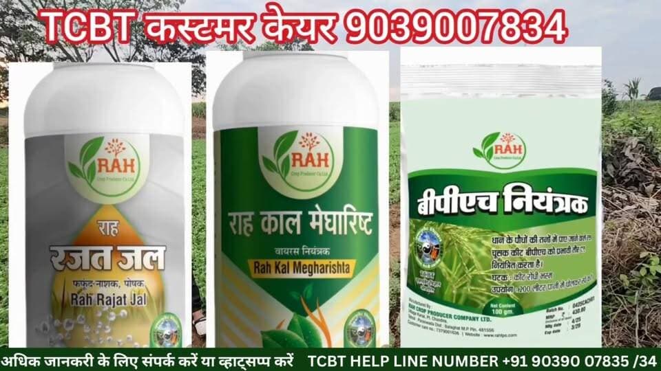 🔥 मटर की फसल में इल्ली का पूरा सफाया! 🌱🐛
क्या आपकी मटर की फसल भी इल्ली के प्रकोप से परेशान है? 😟
देखिए किसान के खेत का यह अनुभव, जहाँ TCBT की दवाइयों के उपयोग से इल्ली का प्रकोप पूरी तरह समाप्त होने का अनुभव सामने आया। 🌾✨
👉 फसल में इल्ली के प्रकोप से बचाव और TCBT की कार्यप्रणाली जानने के लिए वीडियो पूरा देखें।
📱 TCBT App डाउनलोड करें और प्राकृतिक खेती व TCBT तकनीक के बारे में और जानें।
🌐 Website: https://tcbtjaivikkisan.com
📱 TCBT App: https://play.google.com/store/apps/details?id=com.tcbt.myapp
🛒 Products: https://products.tcbtjaivikkisan.com
▶️ YouTube: https://youtube.com/@TarachandBelji
🌿 स्वस्थ जड़ें • स्वस्थ मिट्टी • बेहतर उत्पादन
#TCBT #मटरकीखेती #मटर #इल्ली #फसलसुरक्षा #प्राकृतिकखेती #जैविकखेती #TCBTJaivikKisan #NaturalFarming #OrganicFarming #kisanlife #khetibadi #farming #FarmersProtest