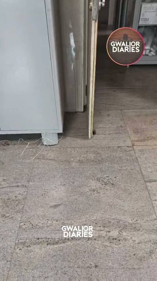 🐍 JAH के सुपर स्पेशलिटी हॉस्पिटल में निकला सांप, स्टाफ ने बहादुरी से पकड़ा...