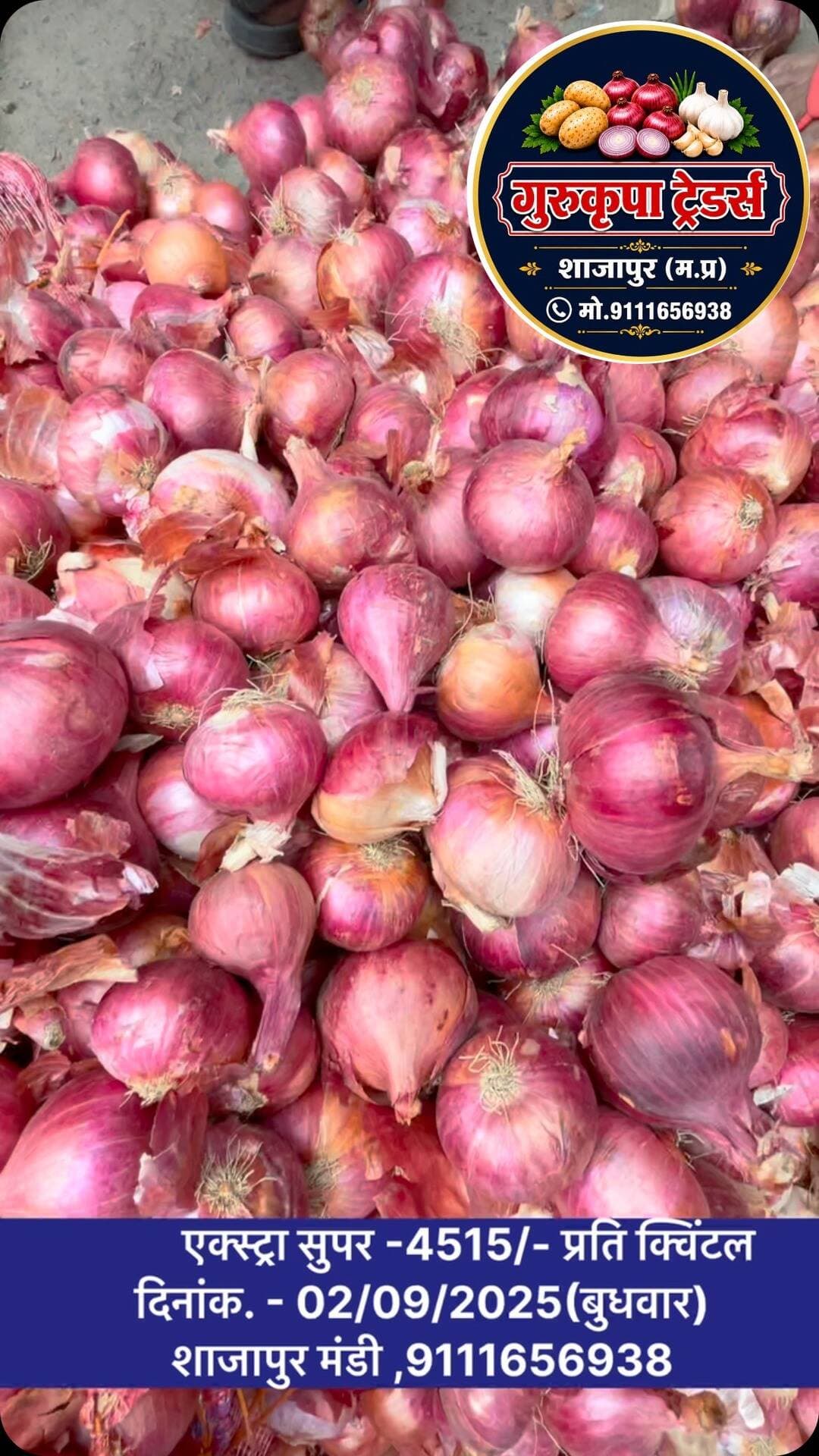 #onion#indoremandibhav#shajapurmandibhav#aajkabhav