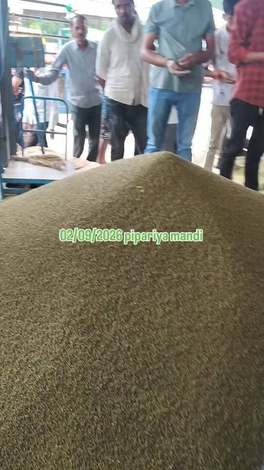 Pipariya mandi #india #mandi #moong