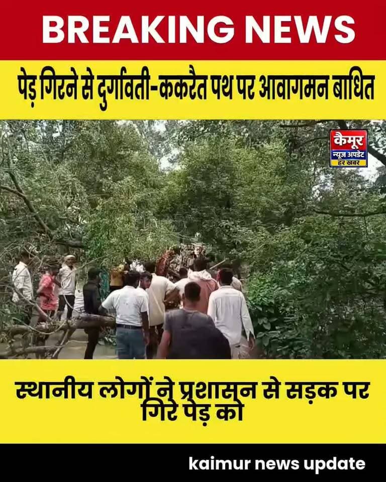 दुर्गावती-ककरैत पथ पर शीशम का पेड़ गिरा, आवागमन बाधित