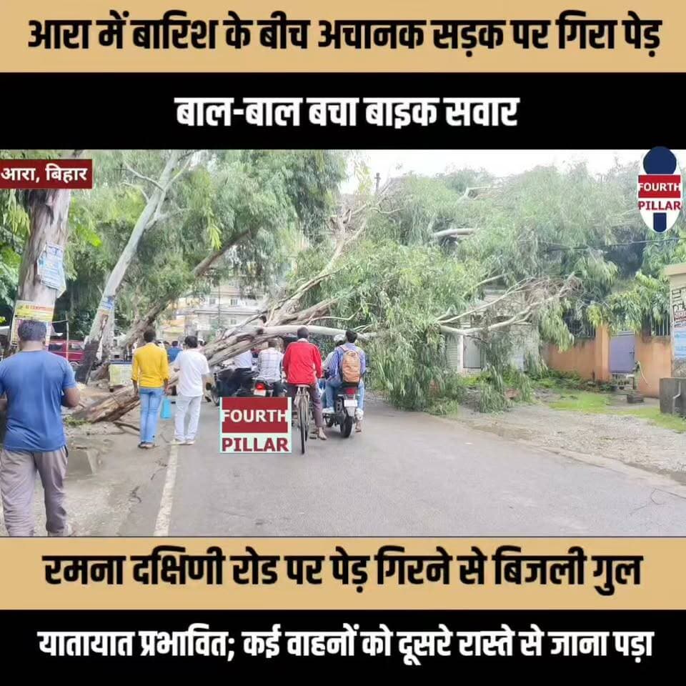 आरा में बारिश के बीच अचानक सड़क पर गिरा यूकेलिप्टस का पेड़, बाल-बाल बचा बाइक सवार
रमना दक्षिणी रोड पर पेड़ गिरने से बिजली गुल, यातायात प्रभावित; कई वाहनों को दूसरे रास्ते से जाना पड़ा