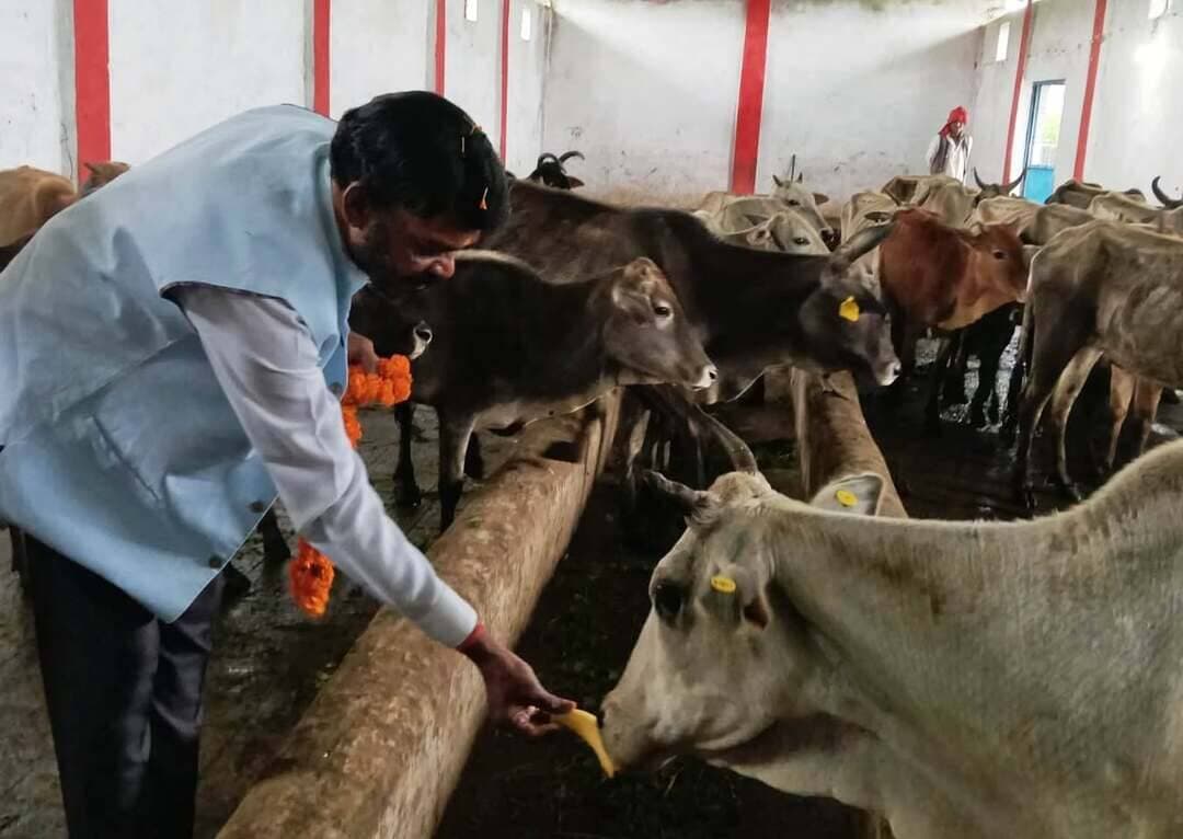 *गौसंरक्षण और किसानों की समृद्धि के लिए सरकार दे रही प्राथमिकता: विधायक श्री ओमप्रकाश धुर्वे*
*मानपुर गौ शाला में जिला स्तरीय बलराम प्रकटोत्सव कार्यक्रम आयोजित*
विकासखंड समनापुर के ग्राम मानपुर स्थित श्री कामधेनु गौ शाला में भगवान बलराम प्रकटोत्सव कार्यक्रम का आयोजन श्रद्धा एवं उत्साह के साथ किया गया। इस अवसर पर भगवान बलराम एवं गौमाता की पूजा-अर्चना कर क्षेत्र की सुख-समृद्धि एवं खुशहाली की कामना की गई। कार्यक्रम में शहपुरा विधायक श्री ओमप्रकाश धुर्वे, जिला पंचायत अध्यक्ष श्री रुद्रेश परस्ते, जनपद पंचायत अध्यक्ष, जिला अध्यक्ष श्री चमरू सिंह नेताम, एसडीएम डिंडौरी श्री रामबाबू देवांगन सहित अन्य जनप्रतिनिधि, संबंधित अधिकारी एवं बड़ी संख्या में श्रद्धालु उपस्थित रहे।
शहपुरा विधायक श्री ओमप्रकाश धुर्वे ने कहा कि भगवान बलराम प्रकटोत्सव का पर्व श्रद्धा एवं उत्साह के साथ मनाया जाता है। भगवान बलराम का जीवन कृषि एवं किसान संस्कृति से जुड़ा रहा है, इसलिए इस अवसर पर हल की पूजा का विशेष महत्व है। उन्होंने कहा कि किसान और कृषि हमारी अर्थव्यवस्था की आधारशिला हैं तथा गौमाता का कृषि एवं ग्रामीण जीवन में महत्वपूर्ण स्थान है।
विधायक श्री धुर्वे ने कहा कि गौशालाओं के माध्यम से निराश्रित एवं आवारा पशुओं को सुरक्षित आश्रय दिया जा रहा है। यहां पशुओं के रहने एवं भोजन की समुचित व्यवस्था सुनिश्चित की जाती है। शासन द्वारा गौसंरक्षण एवं गौपालन को बढ़ावा देने के लिए विभिन्न योजनाओं का संचालन किया जा रहा है तथा गौशालाओं में पशुओं की संख्या के अनुसार आवश्यक सहायता राशि भी उपलब्ध कराई जाती है, ताकि पशुओं की बेहतर देखभाल हो सके।
उन्होंने पशु चिकित्सा विभाग के अधिकारियों को निर्देशित किया कि पशुओं का समय पर टीकाकरण सुनिश्चित किया जाए और उनके स्वास्थय की नियमित देखभाल की जाए। विधायक श्री धुर्वे ने कहा कि घायल एवं बीमार पशुओं के उपचार के लिए 1962 पशु एम्बुलेंस सेवा उपलब्ध कराई गई है, जिससे जरूरत पड़ने पर पशुपालकों को त्वरित सहायता मिल सके। उन्होंने कहा कि आधुनिक तकनीक एवं कृत्रिम गर्भाधान के माध्यम से पशुओं की अच्छी नस्ल विकसित की जा रही है, जिससे बेहतर गुणवत्ता के पशुधन को बढ़ावा मिल रहा है। उन्होंने किसानों से अधिक से अधिक गौपालन अपनाने की अपील करते हुए कहा कि गांवों और घरों में गाय का विशेष महत्व है।
विधायक श्री धुर्वे ने कहा कि गाय के गोबर से तैयार जैविक एवं ऑर्गेनिक खाद का खेती में उपयोग करने से भूमि की उर्वरता बनाए रखने में सहायता मिलती है तथा गुणवत्तापूर्ण कृषि उत्पादन को बढ़ावा मिलता है। उन्होंने कहा कि सरकार किसानों के हितों को सर्वोच्च प्राथमिकता देते हुए विभिन्न योजनाओं का संचालन कर रही है। किसानों को किसान क्रेडिट कार्ड सहित कृषि एवं पशुपालन से संबंधित योजनाओं का लाभ भी प्रदान किया जा रहा है।
जिला पंचायत अध्यक्ष श्री रुद्रेश परस्ते ने कहा कि भगवान बलराम के प्रकटोत्सव को जन्मोत्सव के रूप में श्रद्धा एवं उत्साह के साथ मनाया जाता है। भगवान बलराम किसानों और कृषि संस्कृति के प्रतीक हैं। इस अवसर पर हल एवं गौमाता की पूजा-अर्चना कर कृषि, गौसेवा और भारतीय संस्कृति के संरक्षण का संदेश दिया जाता है।
कार्यक्रम में उपस्थित जनप्रतिनिधियों एवं श्रद्धालुओं ने भगवान बलराम की पूजा-अर्चना की तथा उनके आदर्शों को जीवन में अपनाने का संकल्प लिया। कार्यक्रम के माध्यम से गौसंरक्षण, गौपालन, जैविक खेती और किसान कल्याण का संदेश भी दिया गया।
#collectordindori #jansampark #BalramPrakatotsav #LordBalram #GauSanrakshan #CowProtection #GauSeva #GauPalak #FarmersWelfare #FarmerProsperity #Agriculture #OrganicFarming #NaturalFarming #KisanKalyan #KisanSamriddhi #AnimalHusbandry #Gaushala #CowCare #JaiKisan #IndianCulture #RuralDevelopment #Dindori #Shahpura #MadhyaPradesh #MPGovernment #JansamparkMP #CollectorDindori #OmprakashDhurve #RudreshParaste