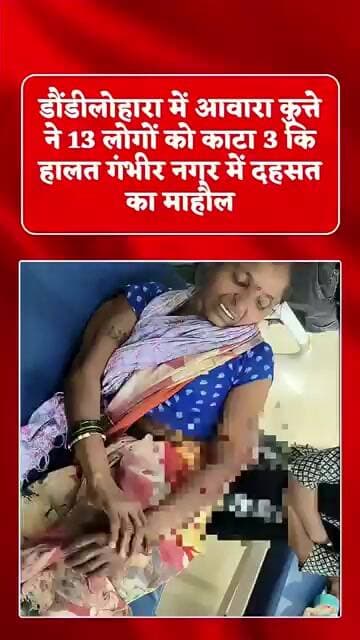 13 लोगों को कुत्ते ने काटा डौंडीलोहारा नगर में डर का माहौल #fear#dogbite #dogbitecases #breakingnews
