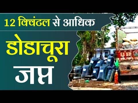 12 क्विंटल से आधिक डोडाचूरा जप्त | 12 kvintal se adhika dodachura japt #jiiran #ndps_act #todaynews
