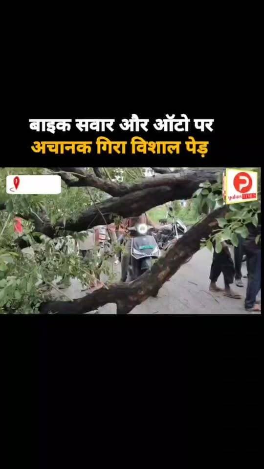 चंदौली में बाइक सवार और ऑटो पर अचानक गिरा विशाल पेड़ #Chandauli #ChandauliNews #Mughalsarai #MughalsaraiNews #PDDUNagar #UPNews #UttarPradesh #BreakingNews #LatestNews
#चकिया #सकलडीहा #शहाबगंज #बलुआ #अलीनगर #मुगलसराय #चंदौली #वाराणसी #पूर्वांचल #पूर्वांचलन्यूज