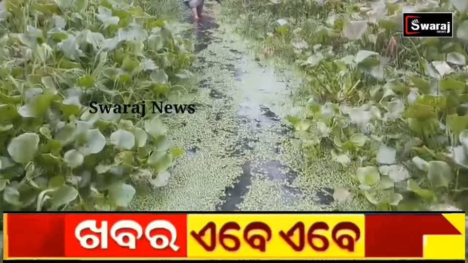 ସମସ୍ତେ ଯଦି ଆଖି ବୁଝିବେ ଆମେ ଗୁହାରି କରିବୁ କାହାକୁ , ଏଇଭଳି କିଛି କଥା କୋହଭରା କଣ୍ଠରୁ ଶୁଣିବାକୁ ମିଳିଛି ! #Swarajnews #fbreelsvideo #vairalvideo #nonfollowers #puri #Odisha