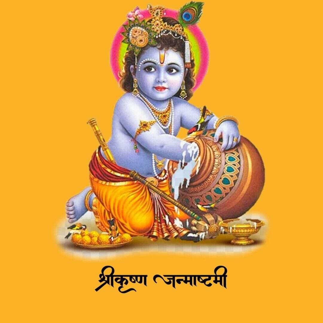 #जन्माष्टमी2026 #कृष्ण_जन्माष्टमी2026
ॐ कृष्णाय वासुदेवाय हरये परमात्मने
प्रणतः क्लेशनाशाय गोविंदाय नमो नमः 🙏
श्री कृष्ण जन्माष्टमी: 4 सितंबर 2026, शुक्रवार
निशिता पूजा: रात लगभग 11:56/11:57 बजे से 12:42/12:43 बजे तक
श्री कृष्ण जन्माष्टमी भगवान श्रीकृष्ण के जन्मोत्सव का पावन पर्व है। भाद्रपद कृष्ण अष्टमी की मध्यरात्रि में भक्त लड्डू गोपाल का अभिषेक, श्रृंगार, झूला और आरती प्रेमपूर्वक करते हैं।
इस पर्व पर विशेष रूप से सूर्य, सोम, यम, काल, संधि, दिक्पति, भूमि, भूत, पवन, अमर, ब्रह्मादि, आकाश, खेचर, को नमस्कार करते हुए भगवान श्री कृष्ण की पूजा करनी चाहिये।
इस दिन प्रातः स्नान के बाद व्रत और पूजा का संकल्प लें। पूजा स्थान को स्वच्छ करें। लड्डू गोपाल को गंगाजल या स्वच्छ जल से स्नान कराएं, पंचामृत अभिषेक करें, फिर सुंदर वस्त्र, मुकुट, बांसुरी और फूलों से श्रृंगार करें। माखन-मिश्री, फल, धनिया पंजीरी या सात्त्विक नैवेद्य अर्पित करें।
कृष्ण जन्माष्टमी के दिन बाल गोपाल के जन्म के बाद उन्हें झूला झूलाया जाता है और माखन मिसरी का भोग लगाया जाता है।
मध्यरात्रि में “ॐ नमो भगवते वासुदेवाय” मंत्र, कृष्ण नाम-स्मरण और आरती करें। जन्माष्टमी हमें प्रेम, धर्म, करुणा, मधुर वाणी और शुभ कर्मों से जीवन को कृष्णमय बनाने की प्रेरणा देती है।
जय श्रीकृष्ण 🎊
#जन्माष्टमी #कृष्ण_जन्माष्टमी