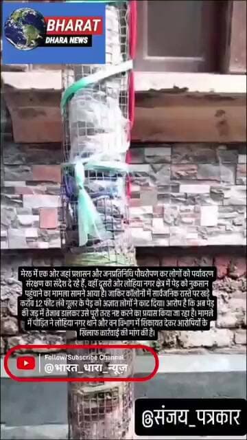 मेरठ में शरारती तत्वों ने पेड़ काटा, तेजाब डाला: रास्ते पर खड़े गूलर के पेड़ को नष्ट करने की कोशिश