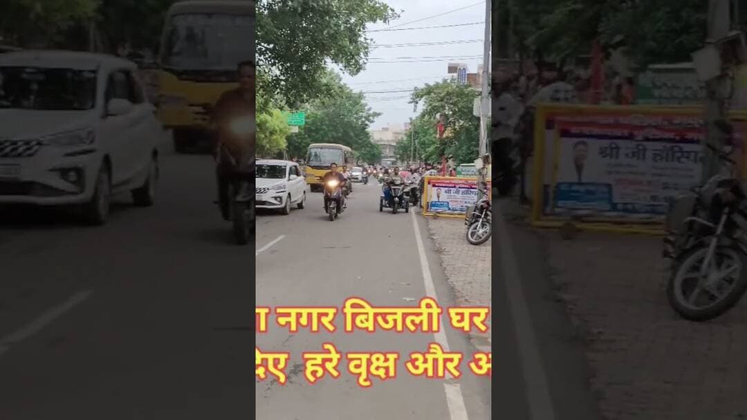 मथुरा कृष्णा नगर बिजली घर के सामने ऑन रोड काट दिए हरे वृक्ष और अधिकारी सो रहे