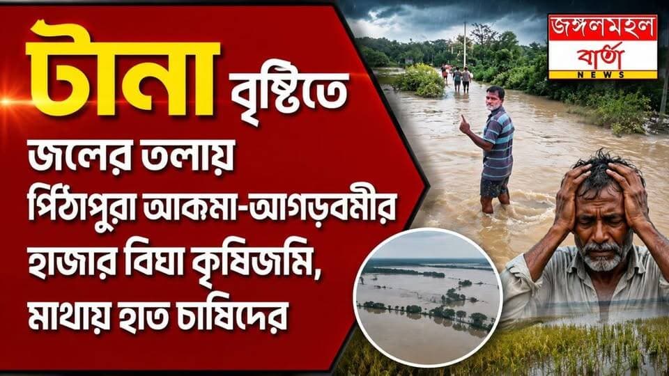 টানা বৃষ্টিতে জলের তলায় গোপীবল্লভপুর ২ নং ব্লকের পিঠাপুরা আকনা-আগড়বনীর হাজার হাজার বিঘা কৃষিজমি। জলমগ্ন জমি আর নষ্ট হওয়া ফসলের আশঙ্কায় মাথায় হাত চাষিদের। ক্ষতিগ্রস্ত এলাকা পরিদর্শনে গিয়ে চাষিদের পাশে থাকার আশ্বাস দেন বিজেপি নেতা তাপস সুঁই।