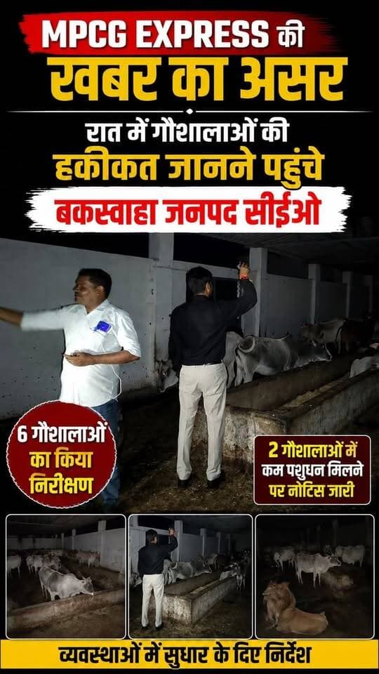 MPCG EXPRESS की खबर का असर, रात में गौशालाओं की हकीकत जानने पहुंचे जनपद सीईओ
#जनसमस्या #MPCGExpress #buxwaha #chhatrpur #MPNews #mpnews #CrimeNews #vayralreels #vayralvideo