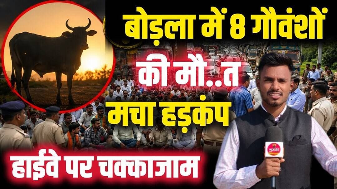 बोड़ला में गौवंशों की मौ.T पर बवाल! गौसेवकों ने NH-30 किया जाम!#breakingnews #गौमाता #news #gurujitv