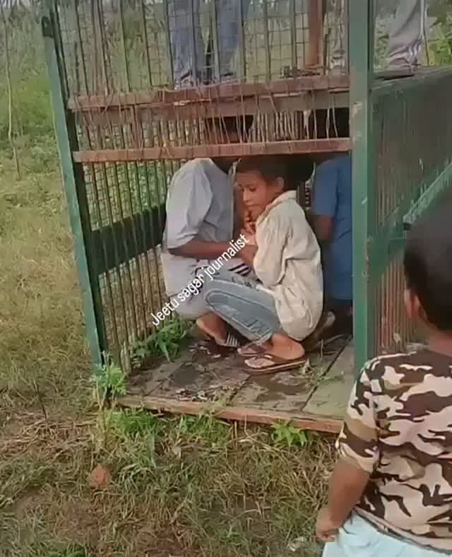 बिजनौर : तेंदुए को पकड़ने के वन विभाग ने पिंजरा लगाया और उसके अंदर लालच देने के लिए मुर्गा लटकाया गया। तेंदुआ तो नही फंसा लेकिन किसी ग्रामीण की नजर मुर्गे पर पड़ी और उसको अपना निवाला बना लिया।
बच्चों की भी नजर पिंजरे पर उन्होंने उसे अपना खिलौना बना लिया। पिंजरे में घुसकर खूब धमाचौकड़ी की। नजीबाबाद क्षेत्र का मामला।